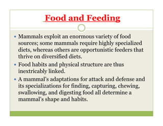 Food and Feeding
 Mammals exploit an enormous variety of food
sources; some mammals require highly specialized
diets, whereas others are opportunistic feeders that
thrive on diversified diets.
 Food habits and physical structure are thus
 Food habits and physical structure are thus
inextricably linked.
 A mammal’s adaptations for attack and defense and
its specializations for finding, capturing, chewing,
swallowing, and digesting food all determine a
mammal’s shape and habits.
 