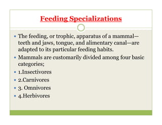 Feeding Specializations
 The feeding, or trophic, apparatus of a mammal—
teeth and jaws, tongue, and alimentary canal—are
adapted to its particular feeding habits.
 Mammals are customarily divided among four basic
categories;
categories;
 1.Insectivores
 2.Carnivores
 3. Omnivores
 4.Herbivores
 
