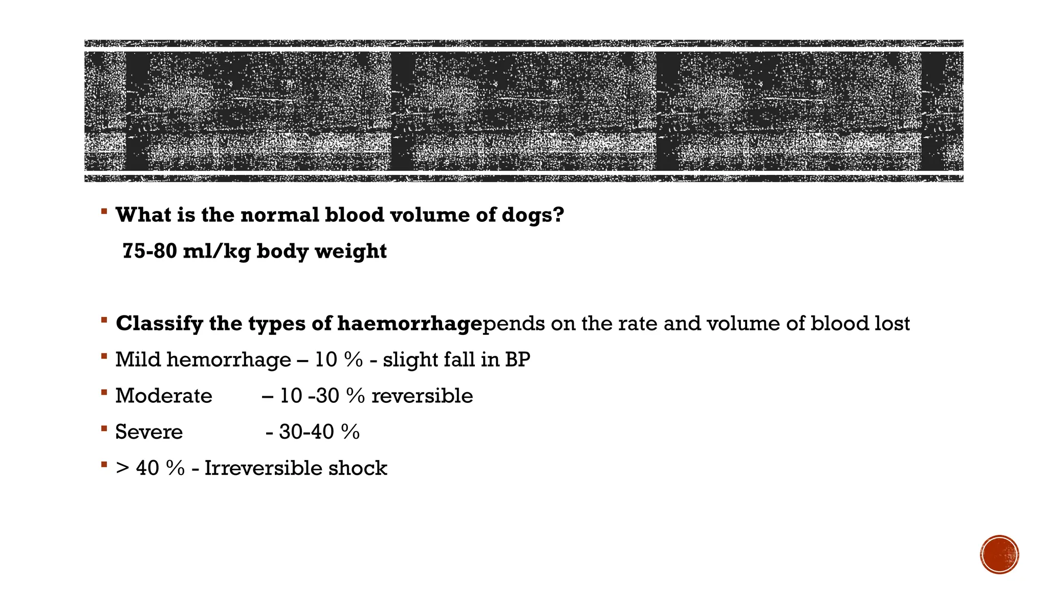 Mammalian chart dog for MD physiology.pptx