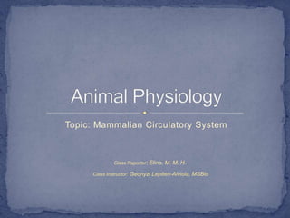 Topic: Mammalian Circulatory System



              Class Reporter: Elino, M. M. H.

      Class Instructor: Geonyzl Lepiten-Alviola, MSBio
 