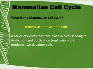 Mammalian Cell Cycle
What is the Mammalian cell cycle?
Mammalian ------- Cell--------Cycle
A series of events that take place in a cell leading to
its division and duplication (replication) that
produces two daughter cells.
 