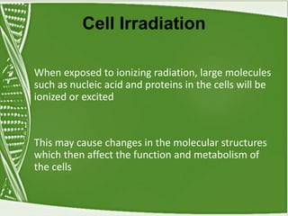 Cell Irradiation
When exposed to ionizing radiation, large molecules
such as nucleic acid and proteins in the cells will be
ionized or excited
This may cause changes in the molecular structures
which then affect the function and metabolism of
the cells
 