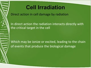 Cell Irradiation
Direct action in cell damage by radiation
In direct action the radiation interacts directly with
the critical target in the cell
Which may be ionize or excited, leading to the chain
of events that produce the biological damage
 