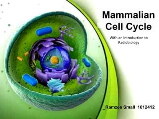 Mammalian Cell
Cycle
Abiola Nelson 1014800
Ramzee Small 1012412
Mammalian
Cell Cycle
_Ramzee Small 1012412
With an introduction to
Radiobiology
 