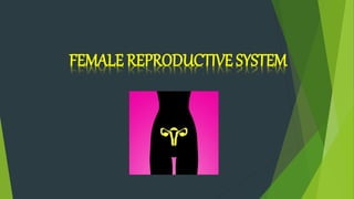 FEMALE REPRODUCTIVE SYSTEM
 