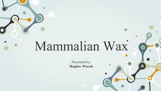 Mammalian Wax
Presented by:
Raghav Worah
 