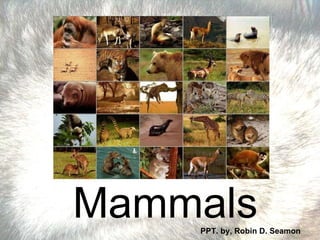 Mammals PPT. by, Robin D. Seamon 