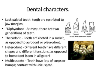 The introduction to mammals and their soft and hard character | PPTX