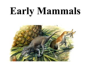 Early Mammals
 