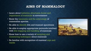 mammology ibooks download mammology ibooks download