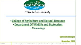 •Gambella University
Mammalogy Department of Wildlife and Ecotourism by Jibril Kedir (Msc In Biodiversity Conservation and Climate Smart Agriculture)
4/29/2023
 