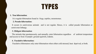 TYPES
1. True hibernation:
It is regular hibernation found in frogs, reptiles, monotremes.
2. Pseudo hibernation:
It occurs in carnivorous animals and is not regular. Hence, it is called pseudo hibernation or
carnivoran lethargy.
3. Obligate hibernation:
The animals that spontaneously, and annually, enter hibernation regardless of ambient temperature
and access to food. Example: ground squirrels, rodents.
4. Faculative hibernation:
Faculative hibernators only enter hibernation when either cold stressed, heat deprived, or both.
 