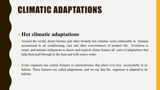 CLIMATIC ADAPTATIONS
 Hot climatic adaptations
 Around the world, desert biomes and other brutally hot climates seem unbearable to humans
accustomed to air conditioning, cars and other conveniences of modern life. Evolution is
smart, and animals indigenous to desert and tropical climes feature all sorts of adaptations that
help them pull through in the heat and with scarce water.
 Every organism has certain features or characteristics that allow it to live successfully in its
habitat. These features are called adaptations, and we say that the organism is adapted to its
habitat.
 