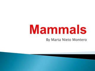 Mammals By Marta Nieto Montero 
