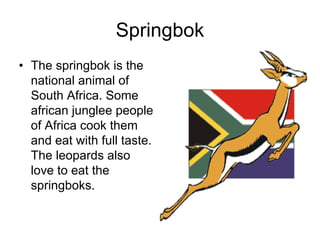 Springbok
• The springbok is the
  national animal of
  South Africa. Some
  african junglee people
  of Africa cook them
  and eat with full taste.
  The leopards also
  love to eat the
  springboks.
 