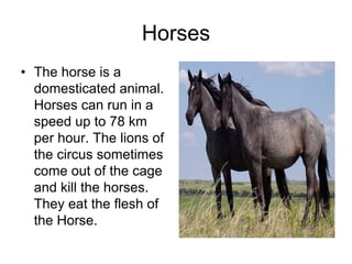 Horses
• The horse is a
  domesticated animal.
  Horses can run in a
  speed up to 78 km
  per hour. The lions of
  the circus sometimes
  come out of the cage
  and kill the horses.
  They eat the flesh of
  the Horse.
 