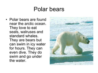Polar bears
• Polar bears are found
  near the arctic ocean.
  They love to eat
  seals, walruses and
  standard whales.
  They are bears but
  can swim in icy water
  for hours. They can
  even dive. They do
  swim and go under
  the water.
 