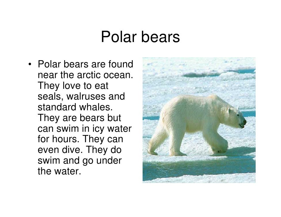 Mammals
