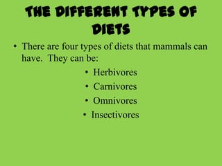 The Different Types of
           Diets
• There are four types of diets that mammals can
  have. They can be:
                   • Herbivores
                   • Carnivores
                   • Omnivores
                  • Insectivores
 