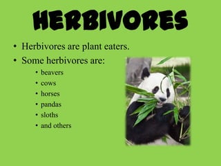 Herbivores
• Herbivores are plant eaters.
• Some herbivores are:
     •   beavers
     •   cows
     •   horses
     •   pandas
     •   sloths
     •   and others
 