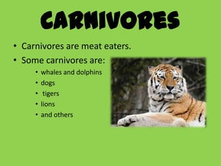 Carnivores
• Carnivores are meat eaters.
• Some carnivores are:
     •   whales and dolphins
     •   dogs
     •    tigers
     •   lions
     •   and others
 