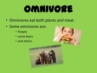 Omnivore
• Omnivores eat both plants and meat.
• Some omnivores are:
     • People
     • some bears
     • and others
 