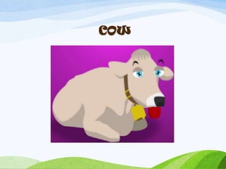 COW
 