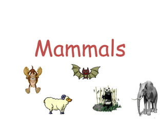 1
Mammals
 