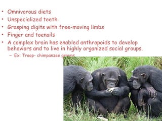 • Omnivorous diets
• Unspecialized teeth
• Grasping digits with free-moving limbs
• Finger and toenails
• A complex brain has enabled anthropoids to develop
behaviors and to live in highly organized social groups.
– Ex: Troop- chimpanzee groups
62
 