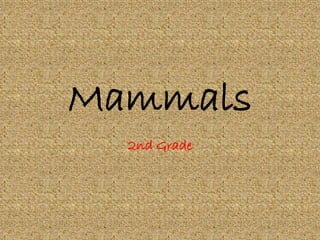 Mammals 
2nd Grade 
 