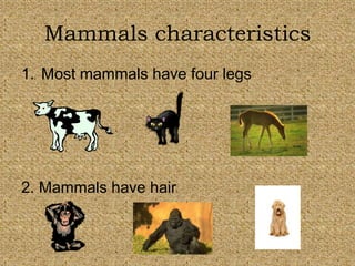 Mammals characteristics 
1. Most mammals have four legs 
2. Mammals have hair 
 