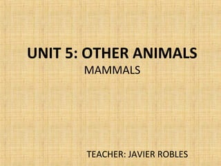 UNIT 5: OTHER ANIMALS
MAMMALS
TEACHER: JAVIER ROBLES