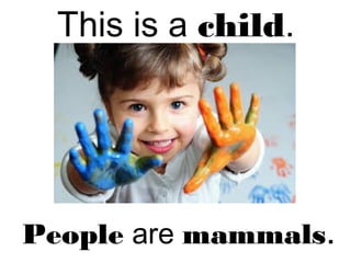 This is a child.
People are mammals.