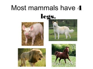 Most mammals have 4
legs.
