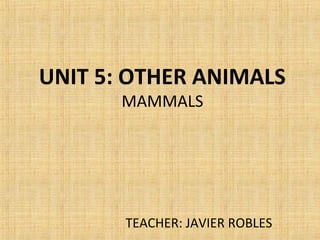 UNIT 5: OTHER ANIMALS
MAMMALS
TEACHER: JAVIER ROBLES
 