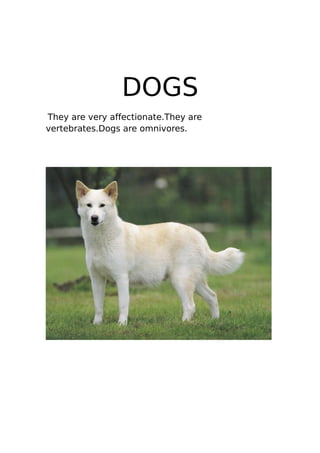 DOGS
They are very affectionate.They are
vertebrates.Dogs are omnivores.
 