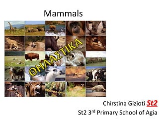 Mammals
Chirstina Gizioti St2
St2 3rd Primary School of Agia
 