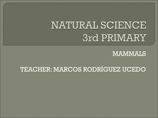 MAMMALS
TEACHER: MARCOS RODRÍGUEZ UCEDO
 