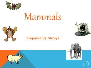 1
Mammals
Prepared By: Shreya
 