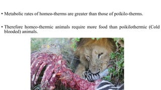 • Metabolic rates of homeo-therms are greater than those of poikilo-therms.
• Therefore homeo-thermic animals require more food than poikilothermic (Cold
blooded) animals.
 