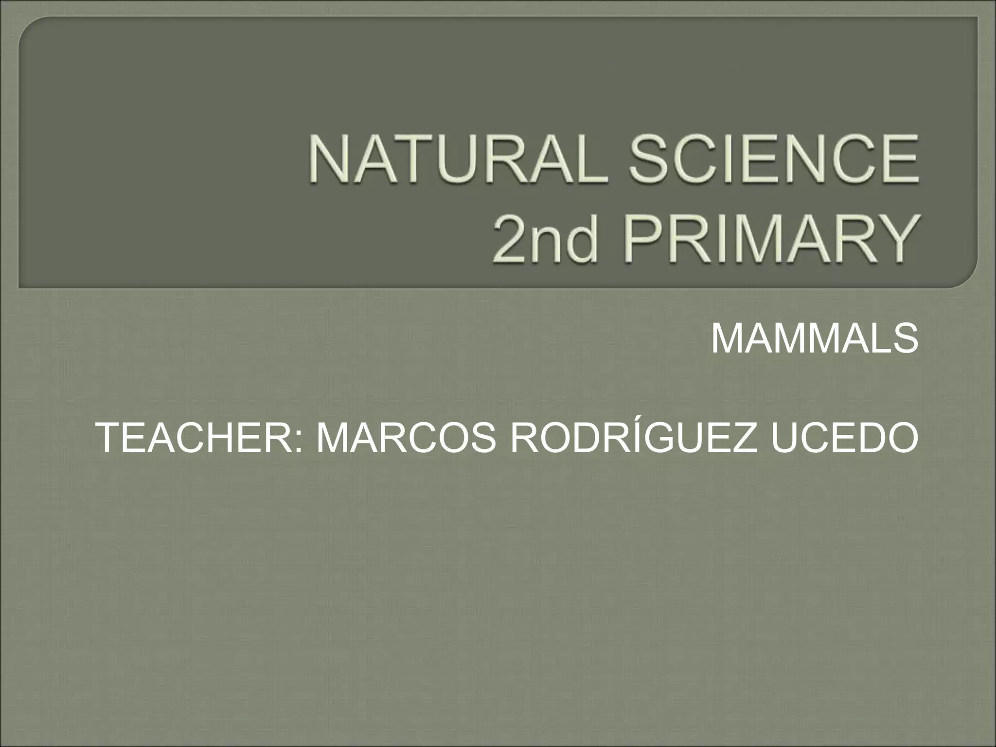Mammals | PPT
