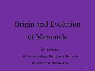 Origin and Evolution of Mammals | PPTX