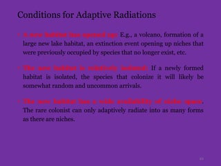 Conditions for Adaptive Radiations
• A new habitat has opened up: E.g., a volcano, formation of a
large new lake habitat, an extinction event opening up niches that
were previously occupied by species that no longer exist, etc.
• The new habitat is relatively isolated: If a newly formed
habitat is isolated, the species that colonize it will likely be
somewhat random and uncommon arrivals.
• The new habitat has a wide availability of niche space.
The rare colonist can only adaptively radiate into as many forms
as there are niches.
22
 