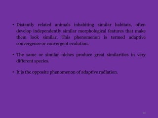 • Distantly related animals inhabiting similar habitats, often
develop independently similar morphological features that make
them look similar. This phenomenon is termed adaptive
convergence or convergent evolution.
• The same or similar niches produce great similarities in very
different species.
• It is the opposite phenomenon of adaptive radiation.
35
 