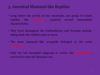 3. Ancestral Mammal-like Reptiles
• Long before the arrival of true mammals, one group of extinct
reptiles, the Synapsida, acquired several mammalian
characteristics.
• They lived throughout the Carboniferous and Permian periods,
dating back 280 million years or more.
• The more mammal—like synapsids belonged to the order
Therapsida.
• Only the last therapsid subgroup to evolve, the Cynodontia,
survived to enter the Mesozoic era.
6
 