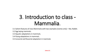 3. Introduction to class -
Mammalia.
3.1 Salient features of class Mammalia with two examples (names only) – Rat, Rabbit.
3.2 Egg laying mammals.
3.3 Aquatic adaptations in mammals.
3.4 Flying adaptations in mammals.
3.5 Cursorial and fossorial adaptation in mammals
Dethe V.D
 