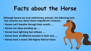 Facts about the Horse
Although horses are such well-known animals, the following facts
may surprise you about these magnificent creatures.
• Horses can't breathe through their mouth. ...
• Horses can sleep standing up. ...
• Horses have lightning fast reflexes. ...
• Horses have 10 different muscles in their ears. ...
• Horses have a nearly 360 degree field of vision.
 