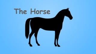 The Horse
 