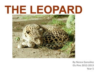THE LEOPARD
By Nerea González
Els Pins 2012-2013
Year 5
 
