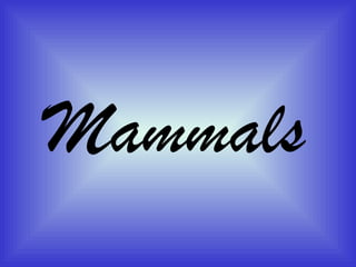 Mammals
 